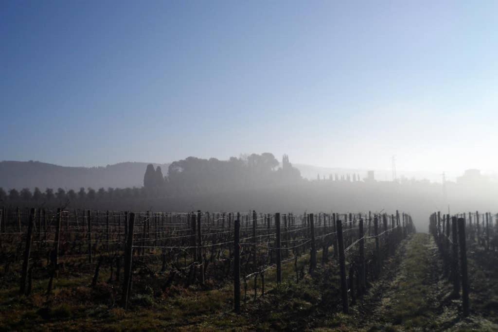 Casa Nonna Ninì Appartamento Le Bolle Esterno foto